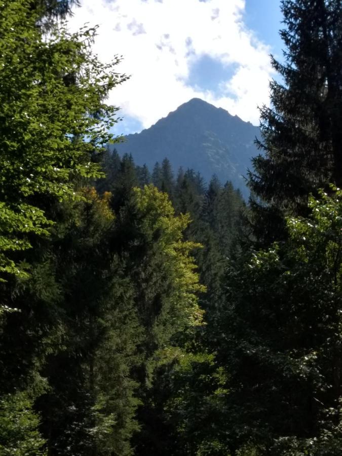Apartamento Eistobel Und Felderhalde Isny im Allgäu Exterior foto
