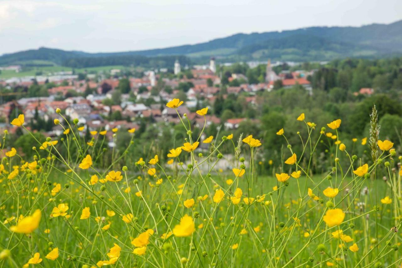 Apartamento Eistobel Und Felderhalde Isny im Allgäu Exterior foto